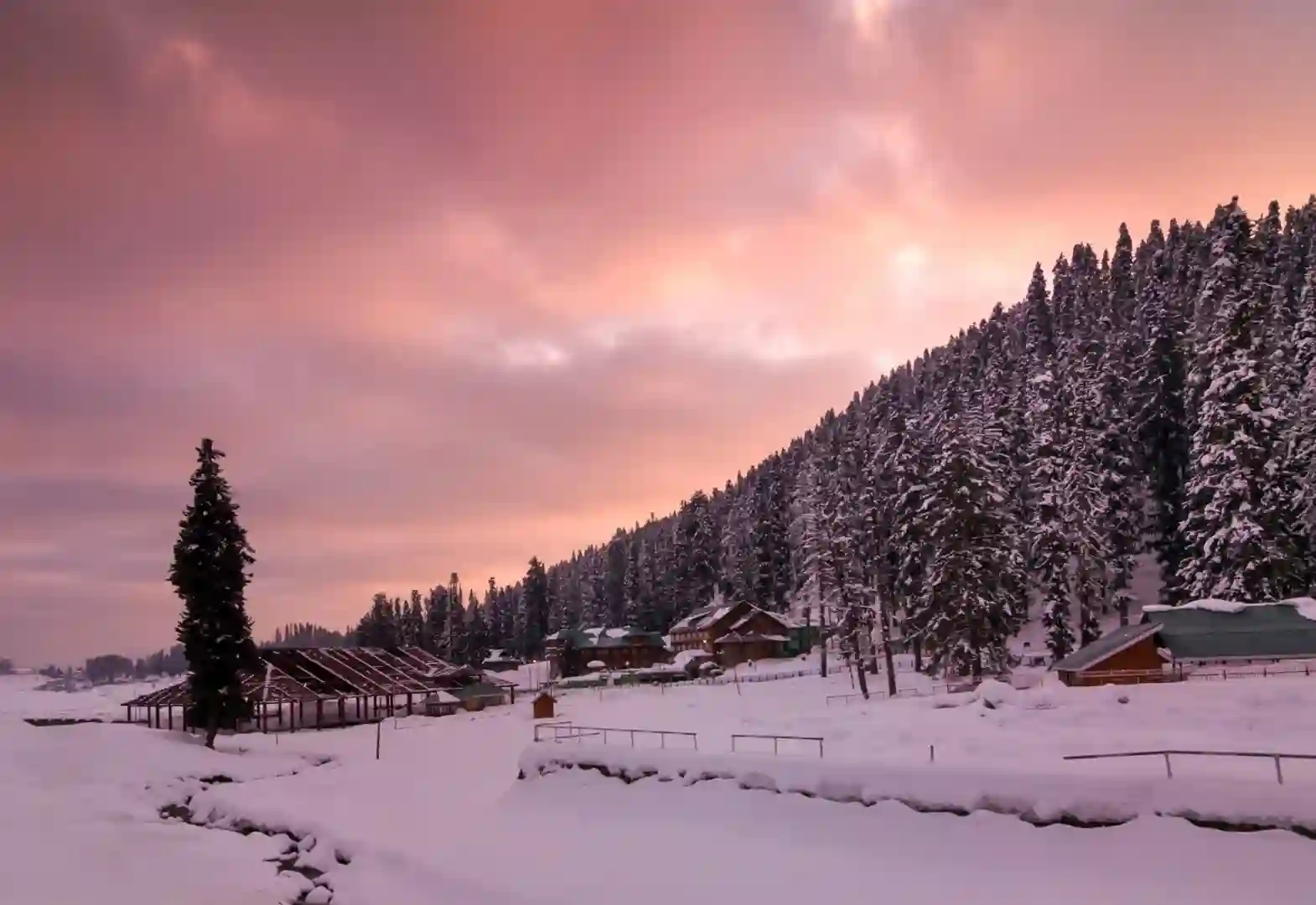 kashmir