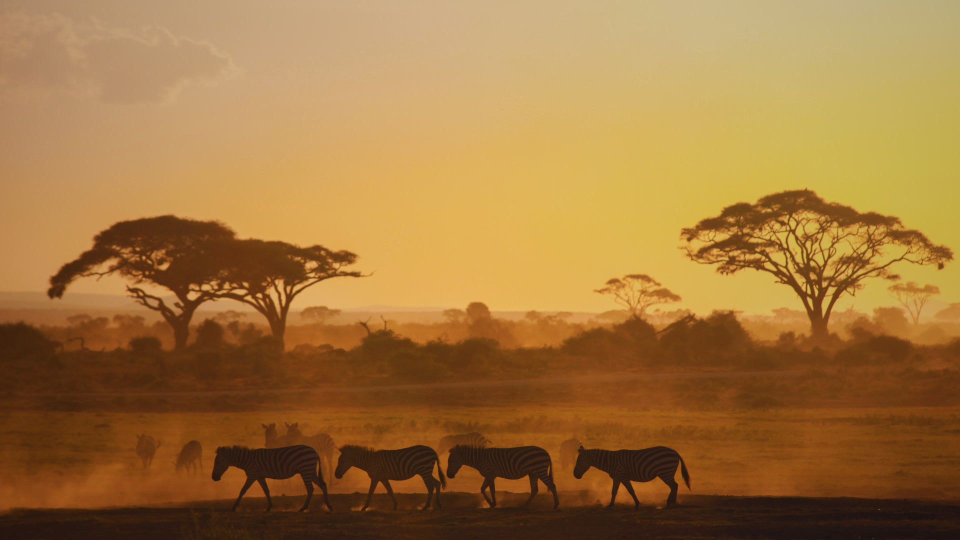 kenya